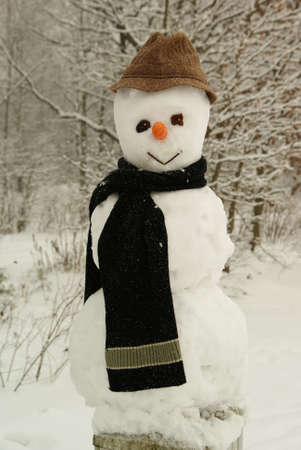 snowman in hat and black scarf on tree backgroundの写真素材
