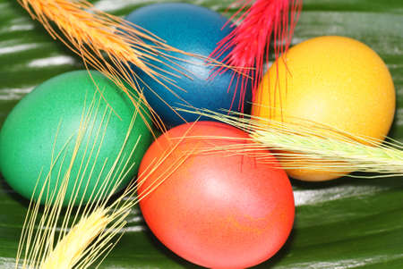four colourful eggs with grain on green leaf