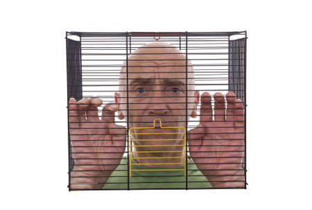 adult of man closed in cage on white backgroundの写真素材