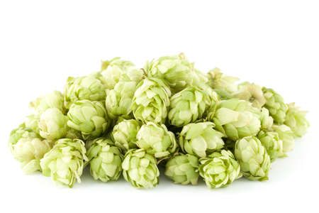  fresh heap green hop  on white background