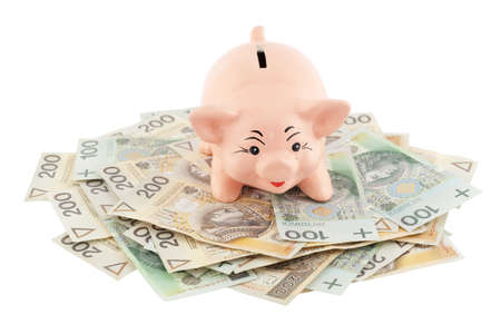 pink piggy on polish money as backgroundの写真素材