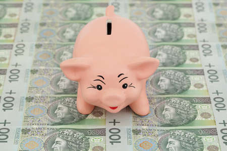 pink piggy on polish money as backgroundの写真素材