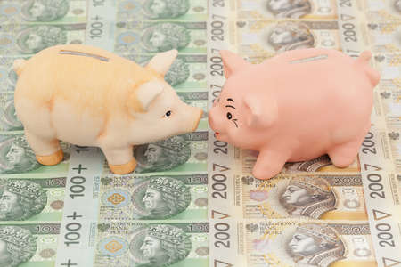 two piggy on polish money as backgroundの写真素材