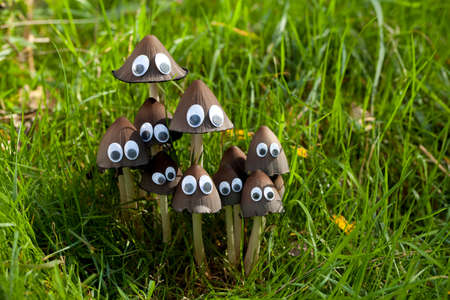 edible mushrooms (Coprinus atramentarius) on grass
