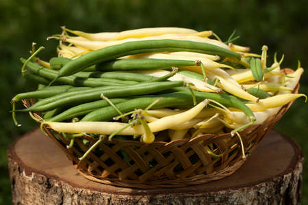 green and yellow bean in basket on trunk 