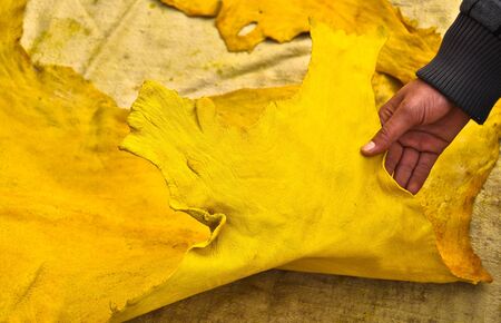 Yellow Leather