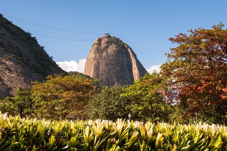 Sugarloaf Mountain and Colorful Trees in Rio de Janeiro, Brazilの写真素材