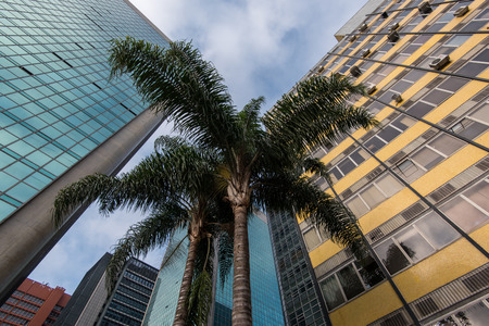 Modern Architecture Office Buildings in Paulista Avenue in Sao Paulo, Brazilの写真素材