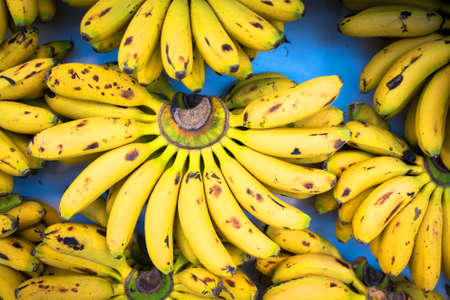 Cluster of Fresh Natural Bananas at the Marketの写真素材