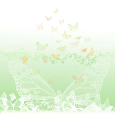 butterfly backの写真素材