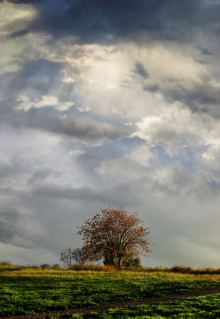 dramatic light autumnal viewの写真素材