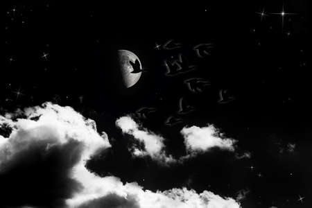 half moon migrationの写真素材