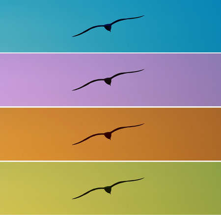 seagulls headerの写真素材