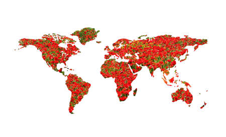 world concept - enviromental careの写真素材