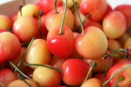 red and yellow rainier cherriesの写真素材