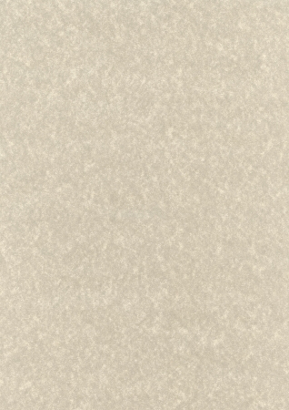 Natural parchment recycled paper texture backgroundの写真素材