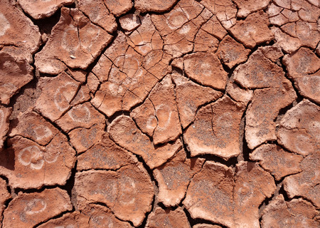 dry mud background texture. Global Warmingの写真素材