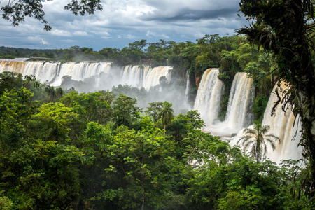 iguazu falls national park. tropical waterfalls and rainforest landscapeの写真素材