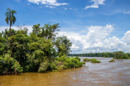 Parana river at iguazu falls national park. tropical rapids and rainforest landscapeの写真素材
