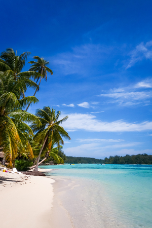 Paradise tropical beach and lagoon in Moorea Island. French Polynesiaの写真素材