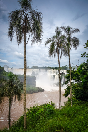 iguazu falls national park. tropical waterfalls and rainforest landscapeの写真素材