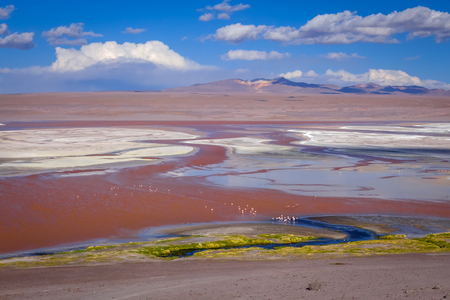 Laguna Honda in sud Lipez Altiplano reserva Eduardo Avaroa, Boliviaの写真素材