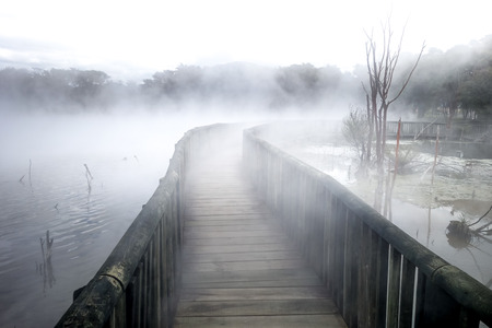 Bridge on a misty lake in Rotorua volcanic area, New Zealandの写真素材