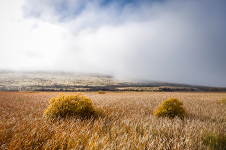 Mountain fields landscape in New Zealand alpsの写真素材
