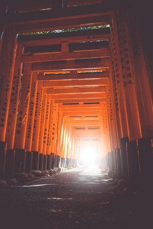 Fushimi Inari Taisha torii shrine, Kyoto, Japanのeditorial素材