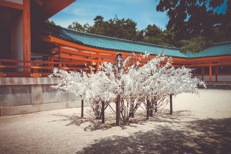 Omikuji tree Heian Jingu Shrine temple in Kyoto, Japanのeditorial素材