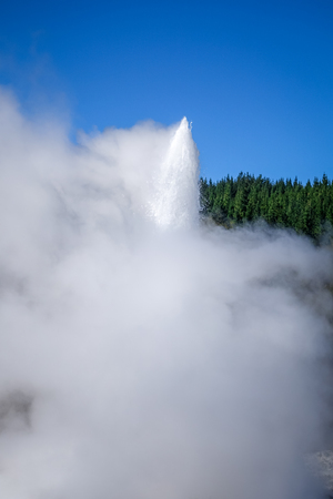 Geyser in Waiotapu geothermal area, Rotorua, New Zealandの写真素材