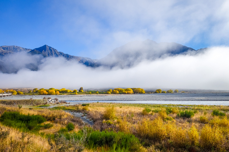 Yellow forest and river in New Zealand Alpsの写真素材