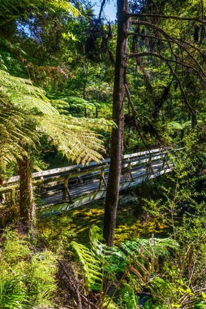 Bridge on a river in Abel Tasman National Park, New Zealandの写真素材