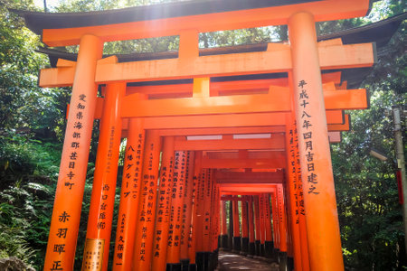 Fushimi Inari Taisha torii shrine, Kyoto, Japanのeditorial素材