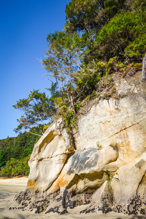 Abel Tasman National Park. Creek and sand beach. New Zealandの写真素材