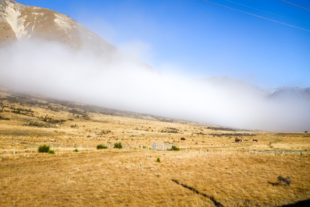 Mountain fields landscape in New Zealand alpsの写真素材