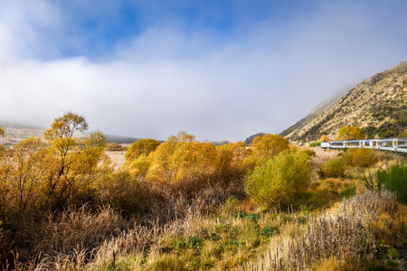 Tranzalpine train in New Zealand mountainsの写真素材