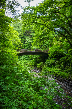 Traditional japanese wooden bridge in botanical garden, Nikko, Japanの写真素材