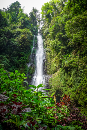 Melanting Waterfall in Munduk, Bali, Indonesiaの写真素材
