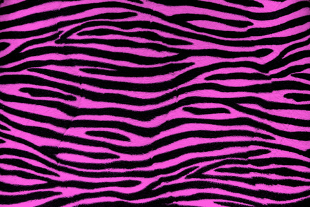 Pink zebra fur background texture close up viewの写真素材