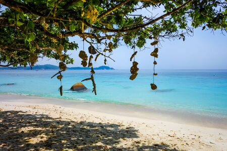 Hanging coral on Turtle Sanctuary Beach, Perhentian Islands, Terengganu, Malaysiaの写真素材
