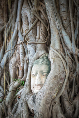 Buddha Head in Tree Roots, Wat Phra Mahathat temple, Ayutthaya, Thailandのeditorial素材