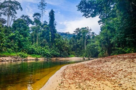 River in Jungle rainforest. Taman Negara national park, Malaysiaの写真素材