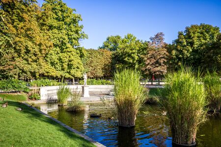 Aisles and pond of the Tuileries Garden in summer Paris, Franceの写真素材