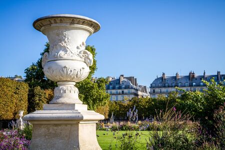 Aisles of the Tuileries Garden in summer Paris, Franceの写真素材