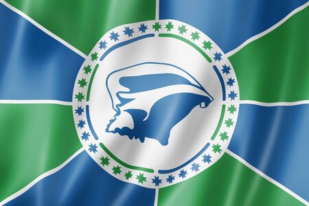 Martinique Collectivity flag, Overseas Territories of France. 3D illustrationの写真素材