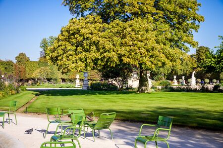 Aisles of the Tuileries Garden in summer Paris, Franceの写真素材