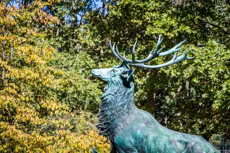 Bronze deer statue in Luxembourg Gardens, Paris, Franceの写真素材