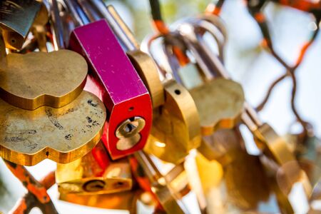 Padlocks symbols of love hanging on a fence, Paris, Franceの写真素材