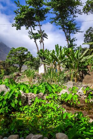 Paul Valley landscape in Santo Antao island, Cape Verde, Africaの写真素材